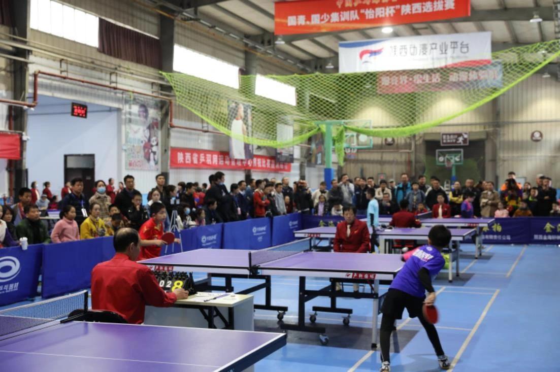 的表现回归 的表现回归